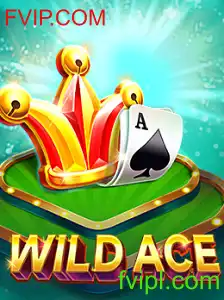 Descubra o Mundo de Aventuras com WildAce e FVIP.COM